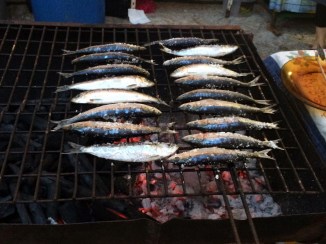 LISBON EXPERIENCE - SANTOS POPULARES